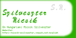 szilveszter micsik business card